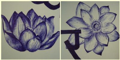Lotus Blomster